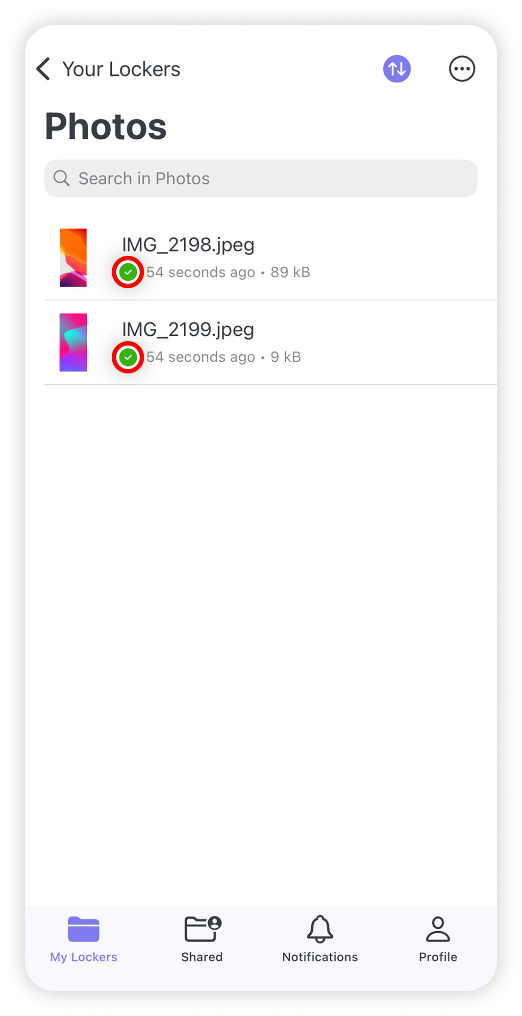 View of NordLocker iOS app, green checkmarks are highlighted.png