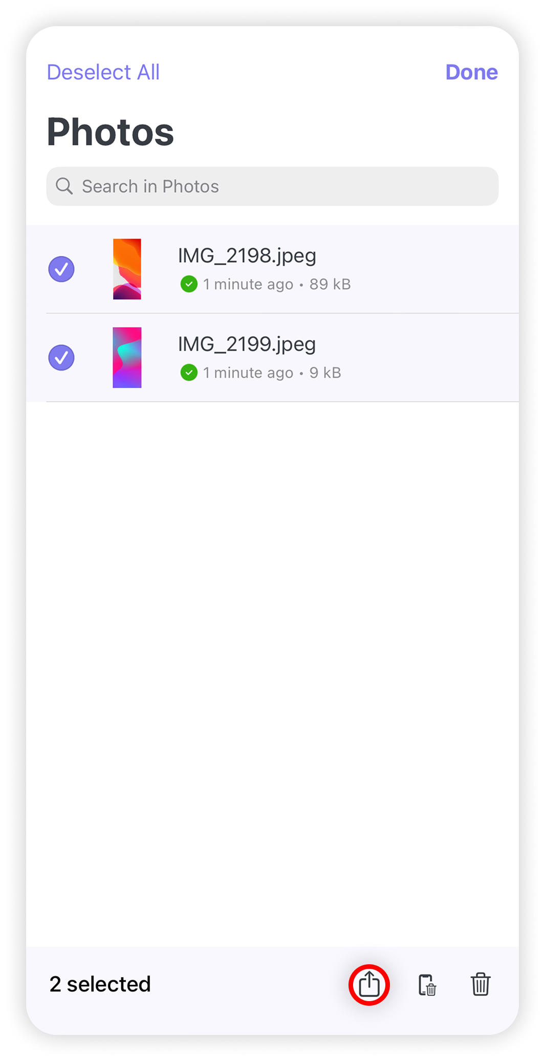 View of NordLocker iOS app, export button is highlighted.png